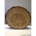 BERKENSCHIJF +/-40CM +/-4CM NATUREL