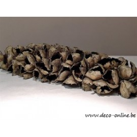 CACHO COCO 60/70 DEMI NATUREL 1PC