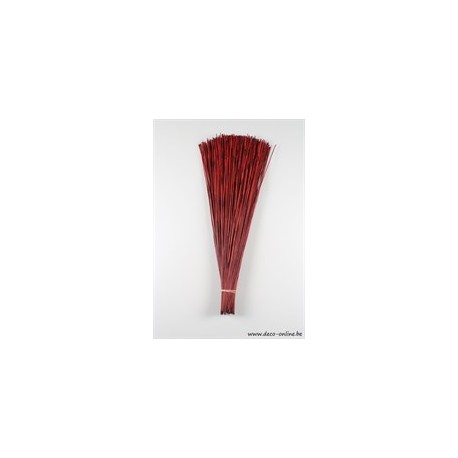 CANNE ROUGE +/-200GR 80CM