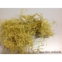 TISLANDSIA (TILLANDSIA) JAUNE +/-200GR