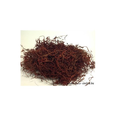 TISLANDSIA (TILLANDSIA) MARRON +/-200GR