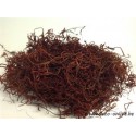 TISLANDSIA (TILLANDSIA) MARRON +/-30GR