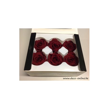 ROSE STABILISEE (MEDIUM OPEN) +/-4.5CM BORDEAUX 6PCS