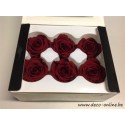 ROSE STABILISEE (MEDIUM OPEN) +/-4.5CM BORDEAUX 6PCS