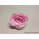 ROSE STABILISEE (LARGE OPEN) +/-6.5CM ROSE 1PC