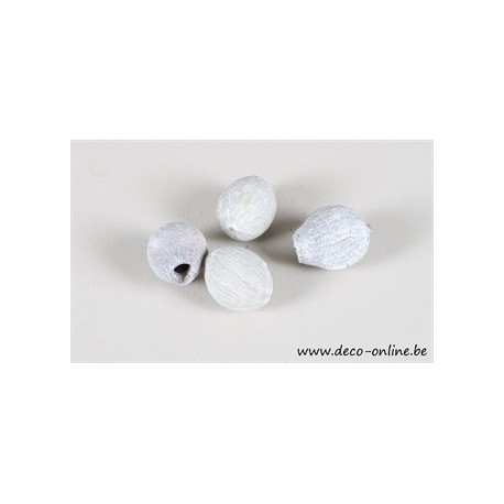 GUMBELLS (EUCALYPTUSKLOK/BELLGUM) WHITE WASH +-/100GR