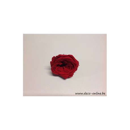 ROSE STABILISEE (ENGLISH ROSE KATE) +/-5CM ROUGE 1PC