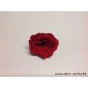 ROSE STABILISEE (ENGLISH ROSE KATE) +/-5CM ROUGE 1PC