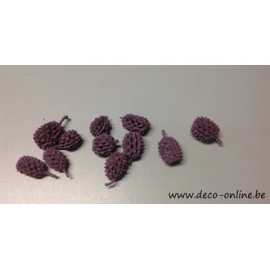 CASURINA BLACKBERRY +/-100GR