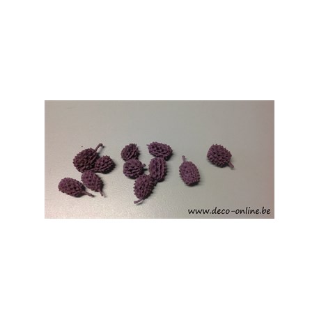 CASURINA BLACKBERRY +/-100GR