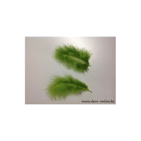 PLUMES DE MARABOU VERT MOUSSE +/-10GR BOITE 200X120X50MM