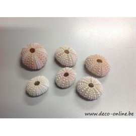 OURSINS ROSE 3PCS