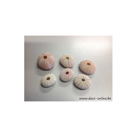 OURSINS ROSE 3PCS