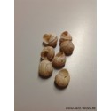 ESCARGOTS DE BOURGOGNE +/-250GR