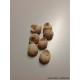 ESCARGOTS PETITS NATUREL 50GR