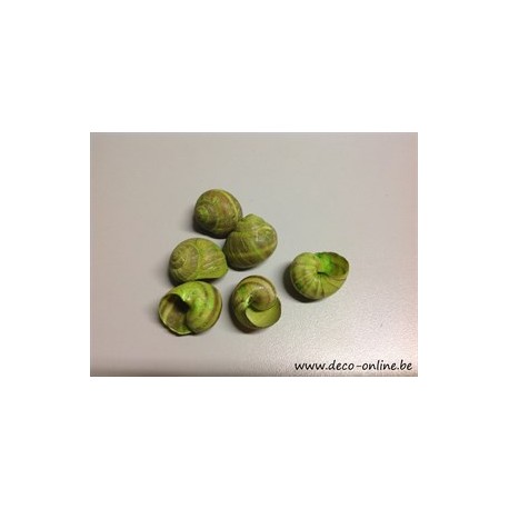 ESCARGOTS PETITS VERT POMME 50GR