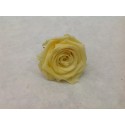 ROSE STABILISEE (LARGE OPEN) +/-6.5CM NACRE 1PC