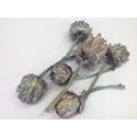 ARTICHOKE GREEN-BRONZE 6PCS