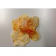 LUNARIA ORANGE (APRICOT) +/-40GR