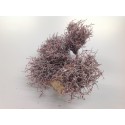 IRON BUSH BORDEAUX WAX OP STOK 10CM 5ST