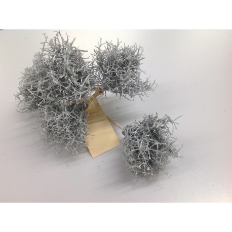 IRON BUSH WHITE WAX OP STOK 10CM 5ST