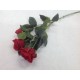 ROSE ROUGE 60CM