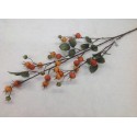 ROZENBOTTEL ORANJE 109CM