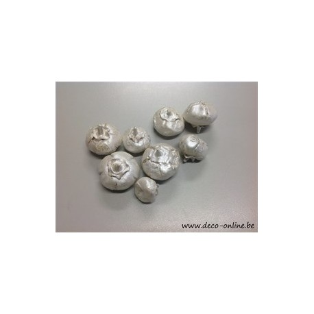 WILD APPLE MINI BRUT PEARL WHITE +/-500GR