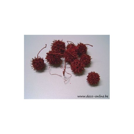 LIQUIDAMBAR (AMBERBAUM) ROOD +/-150GR