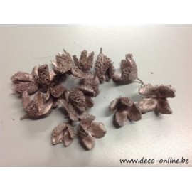 BEUKENHULZEN ROSEGOLD +/-500GR