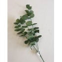 EUCALYPTUS GROEN 78CM