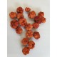 WILD APPLE MINI / PARAS PEEPLE TERRACOTTA +/-250GR