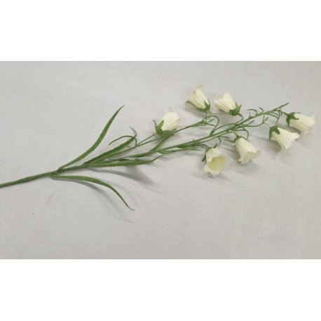 CAMPANULA 78CM CREME/VERT