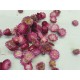 HELICHRYSUM TÊTES ROSE FONCE +/-100GR