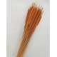 TYPHA LARGE ORANGE 50PCS