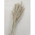 WILD GRASS WHITE WASH +/-75GR