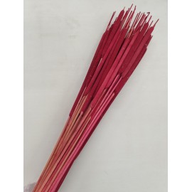 TYPHA LARGE ROUGE 50PCS