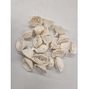 SHOLA ROSE 6CM NATUREL 20PCS