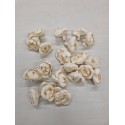 SHOLA PIVIONE 6CM NATUREL 20PCS