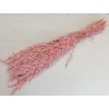 AVOINE ROSE PASTEL +/-100GR