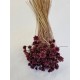 HILL FLOWER FRAMBOOS +/- 150GR