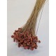 HILL FLOWER VIEUX ROSE +/-150GR