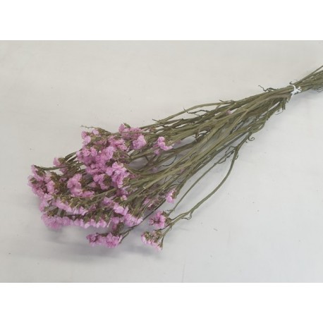 STATICE SINUATA LICHT ROZE NATUREL