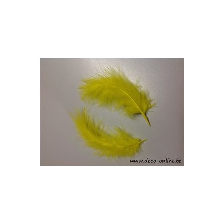 PLUMES DE MARABOU JAUNE +/-10GR BOITE 200X120X50MM