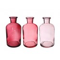 BOUTEILLE RIGA D7 H12 ROSE 12PCS