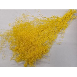 GYPSOPHILA MINI JAUNE +/-100GR