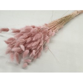 LAGURUS OVATUS ROSE PASTEL +/-100GR