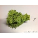 MOUSSE D'ISLANDE STABILISEE VERT POMME+/-450GR