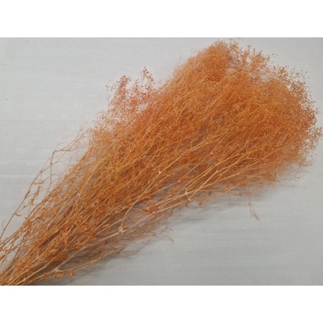 GYPSOPHILA MINI ORANGE +/-100GR