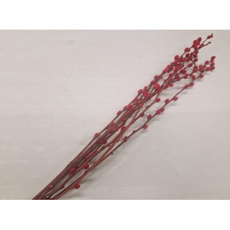 CHATONS DE SAULE ROUGE 70-80CM 8PCS